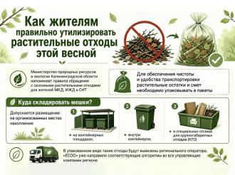 Жителям Зеленоградска напомнили, как правильно утилизировать растительные отходы